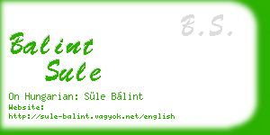 balint sule business card